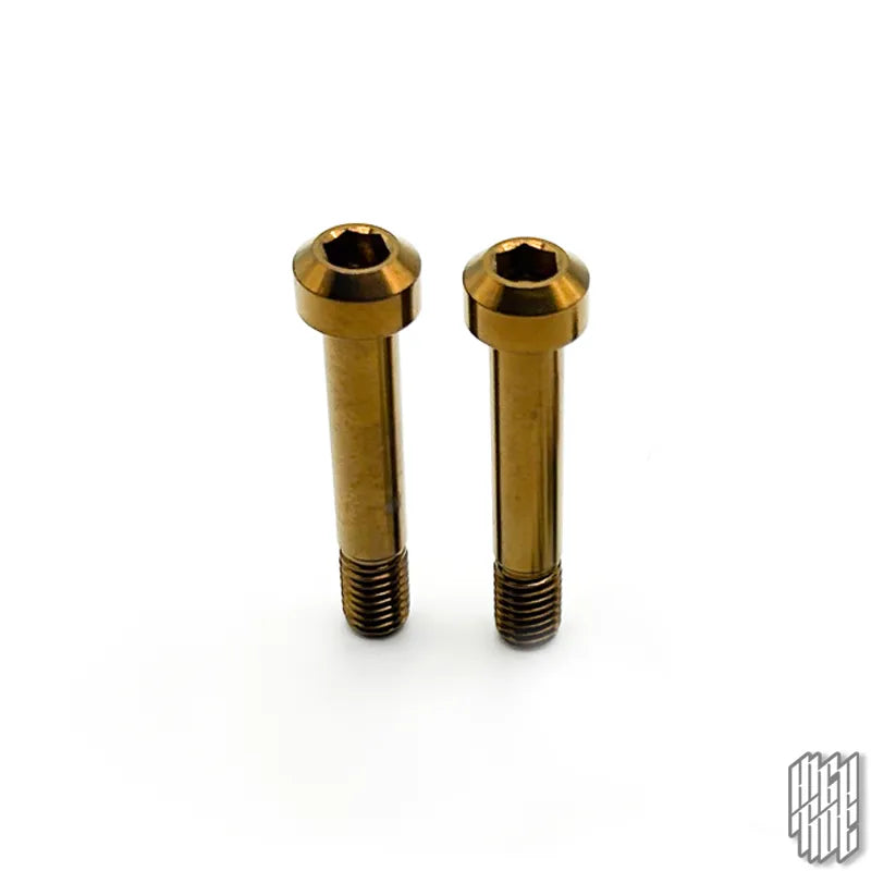 SANTA CRUZ 5010 SHOCK BOLT SET